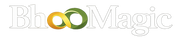 Logo of BhooMagic with a green and orange infinity symbol on a white background