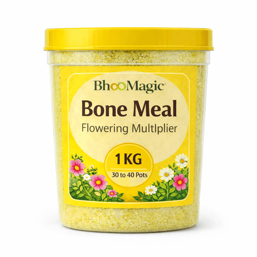 BhooMagic Bone Meal fertilizer 1kg container, premium organic bone meal for flowering plants and strong root growth
