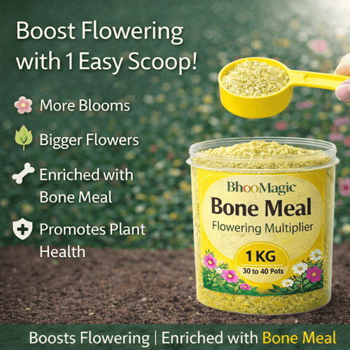BhooMagic bone meal fertilizer scoop application showing boost flowering, bigger flowers and plant health benefits